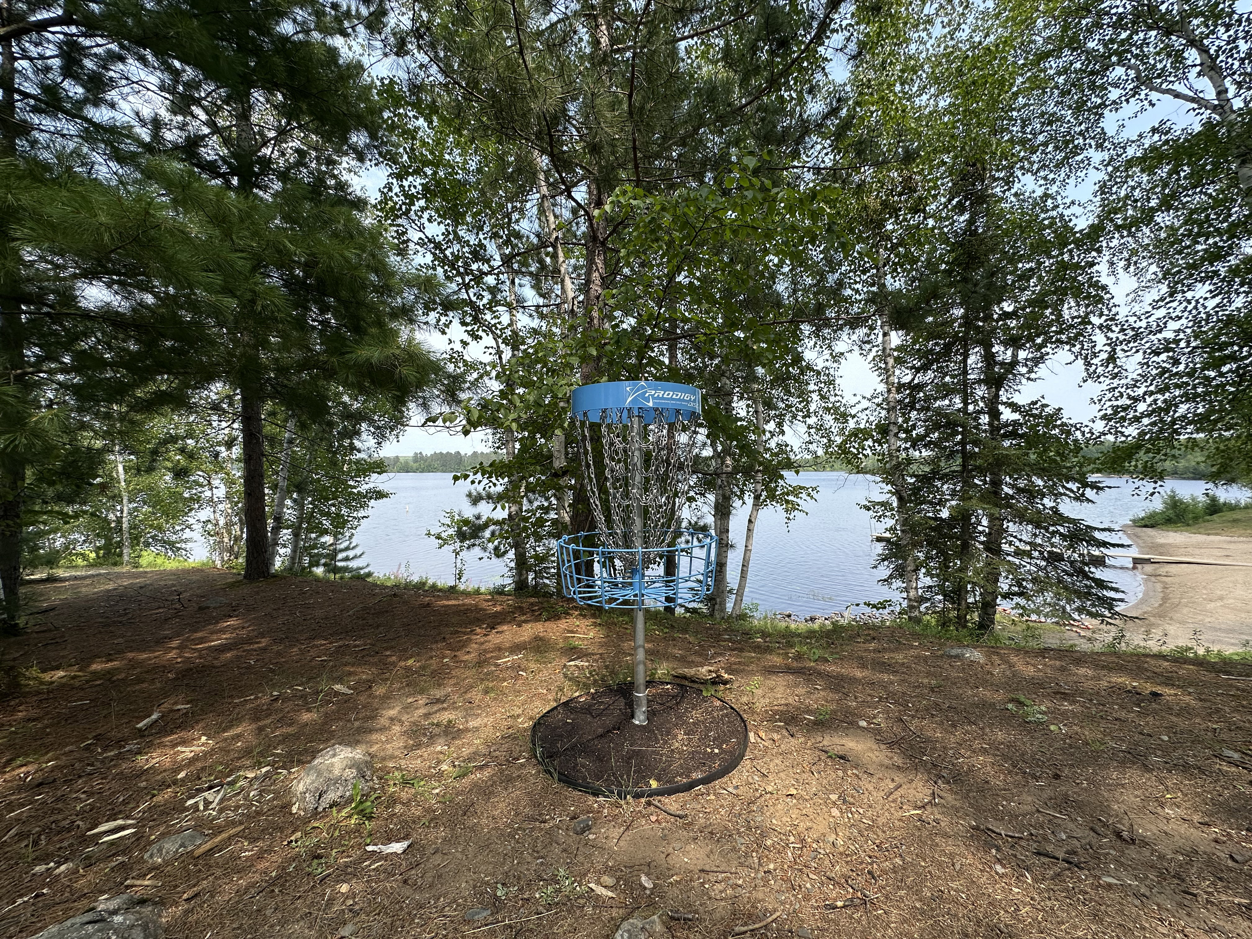 Disc Golf Hole